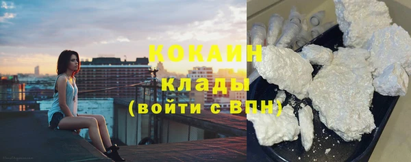 шишки Балабаново