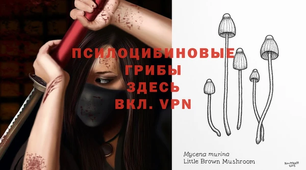 МДПВ Балахна