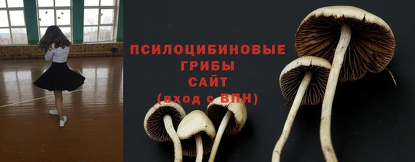 шишки Балабаново