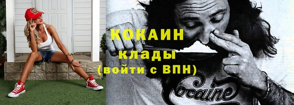 шишки Балабаново