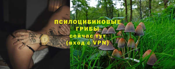шишки Балабаново