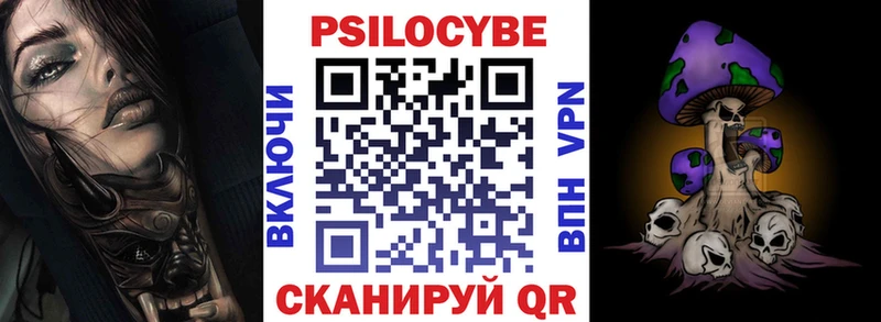 купить закладку  Тутаев  Псилоцибиновые грибы Psilocybe 